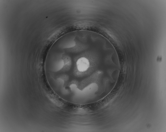 X0000094900737200711291232