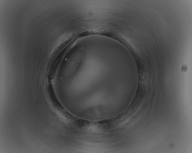 X0000094900738200711291232