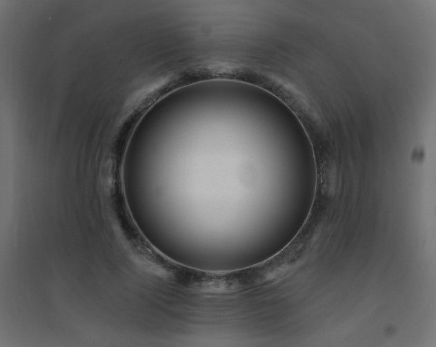 X0000094900740200711291232