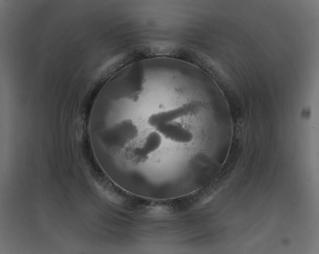 X0000094900741200711291232