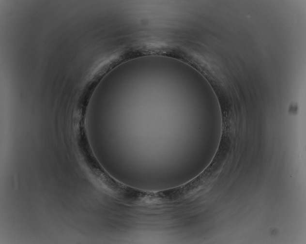 X0000094900742200711291232