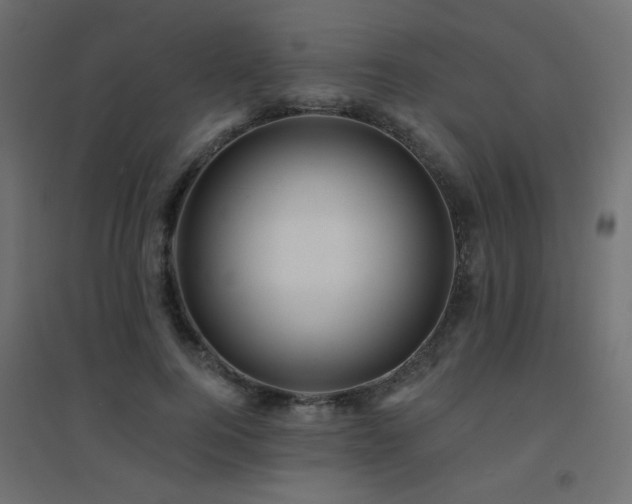 X0000094900744200711291232