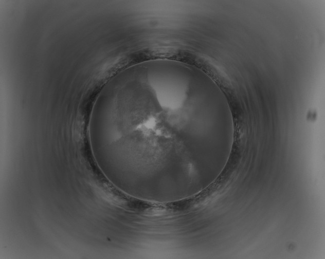 X0000094900745200711291232