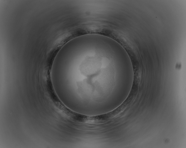 X0000094900746200711291232