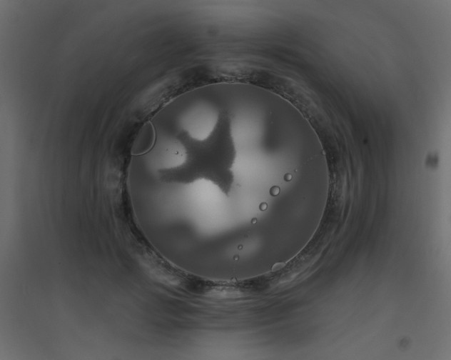 X0000094900749200711291232