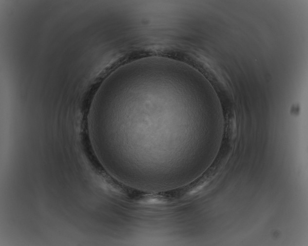 X0000094900750200711291232