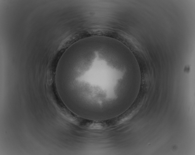 X0000094900751200711291232