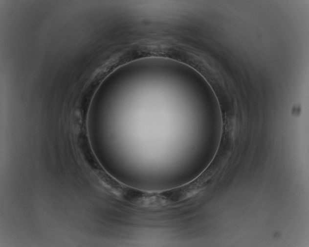 X0000094900752200711291232