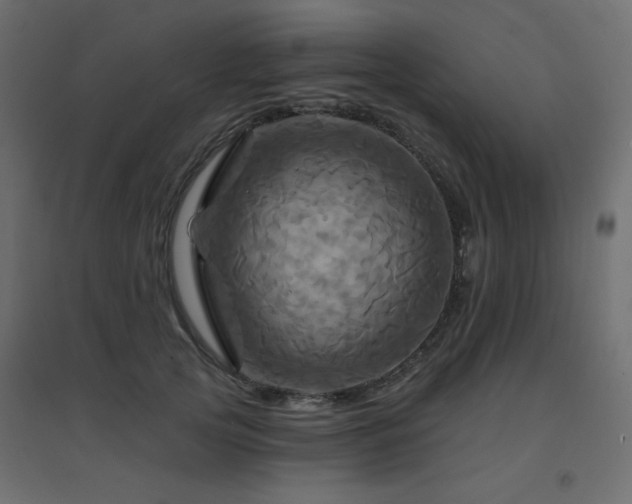 X0000094900753200711291232