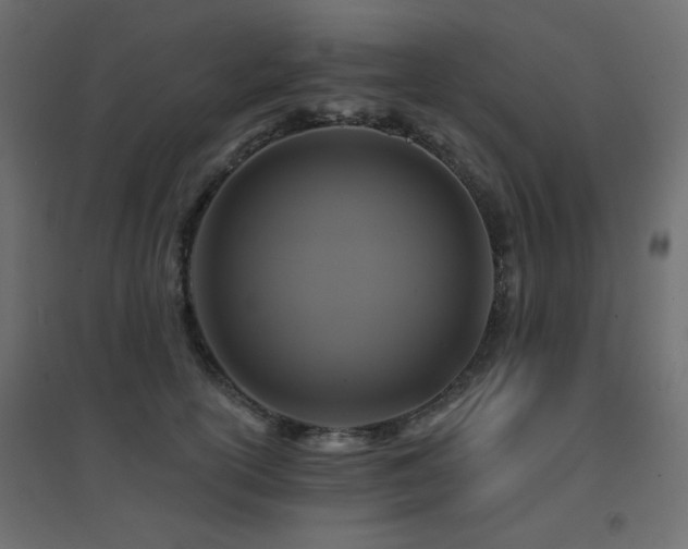 X0000094900754200711291232