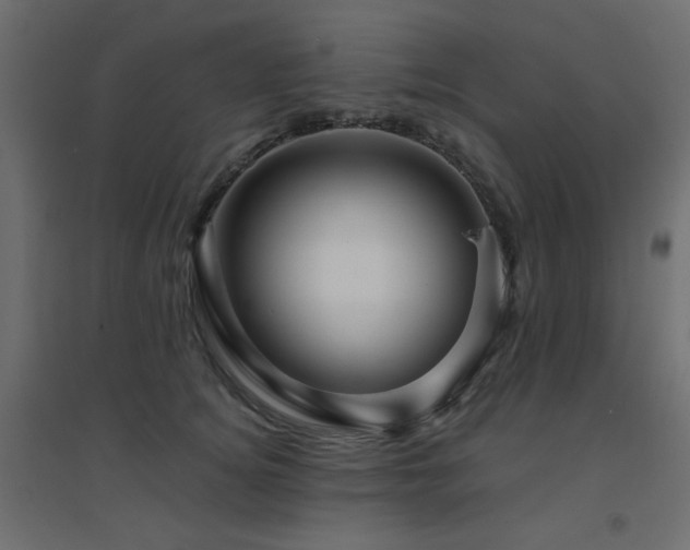 X0000094900756200711291232