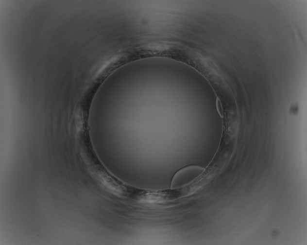 X0000094900758200711291232