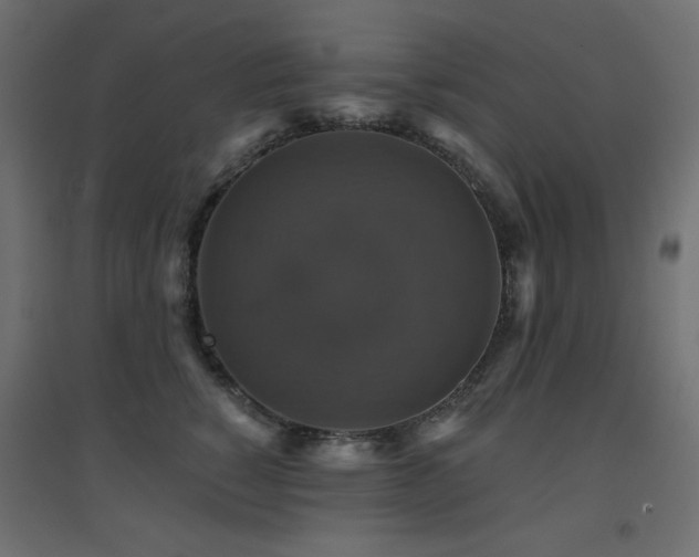 X0000094900760200711291232