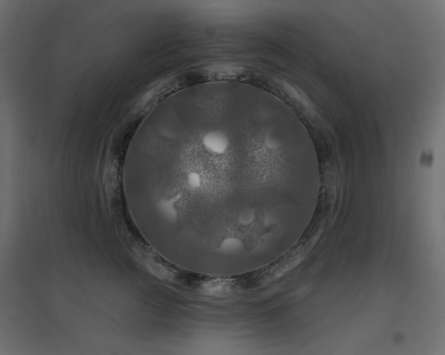 X0000094900761200711291232