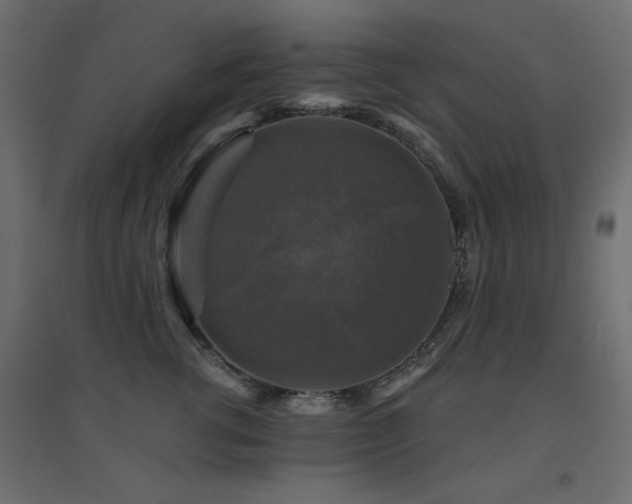 X0000094900762200711291232