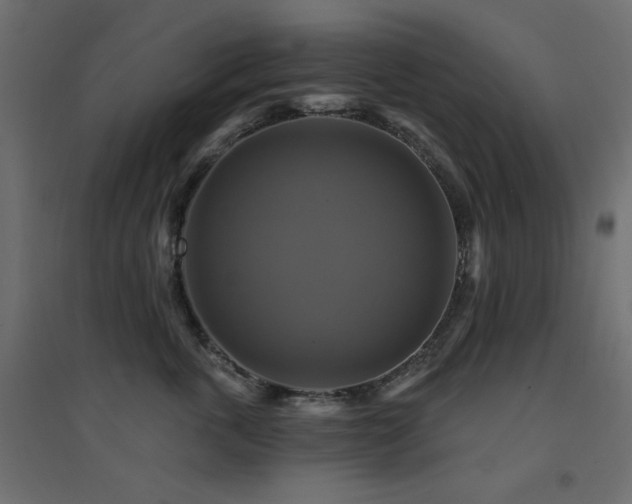 X0000094900763200711291232
