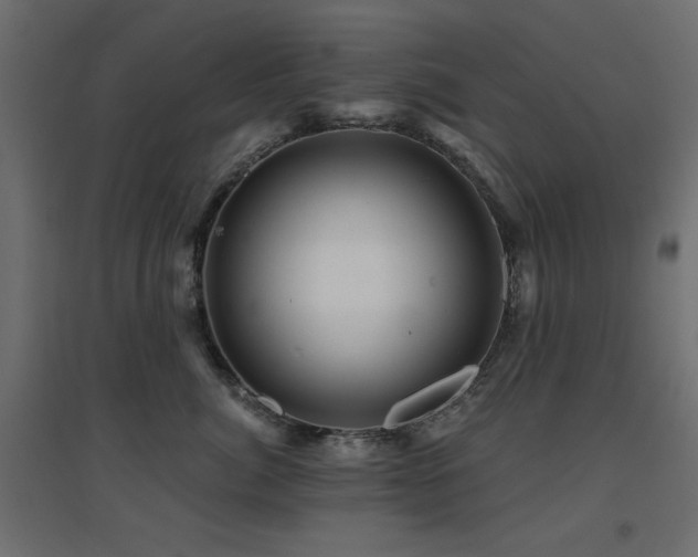 X0000094900764200711291232