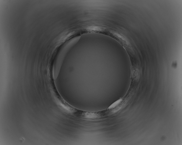X0000094900766200711291232