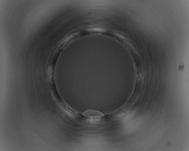 X0000094900767200711291232