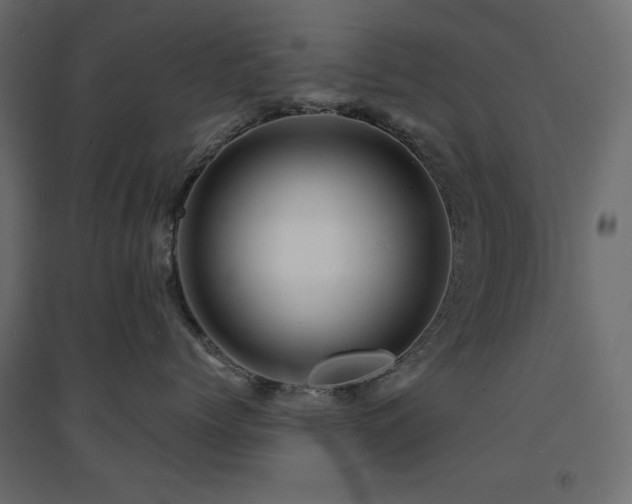 X0000094900768200711291232