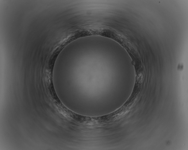 X0000094900772200711291231