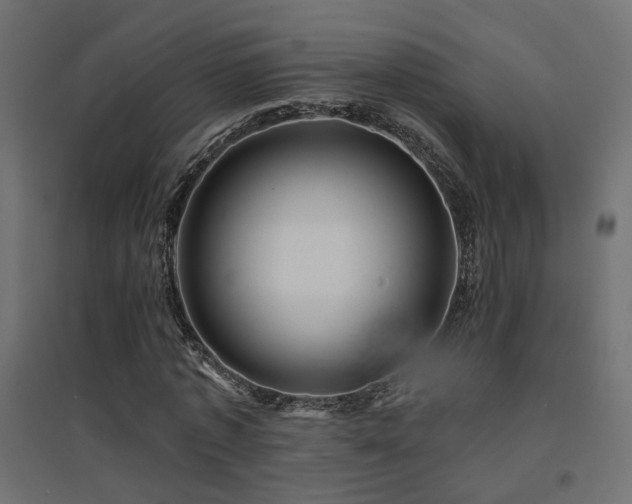 X0000094900773200711291231