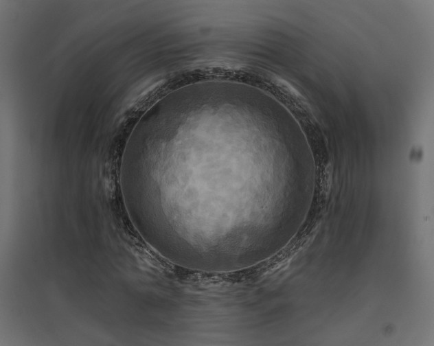 X0000094900774200711291231