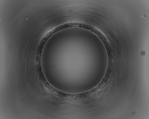 X0000094900775200711291231