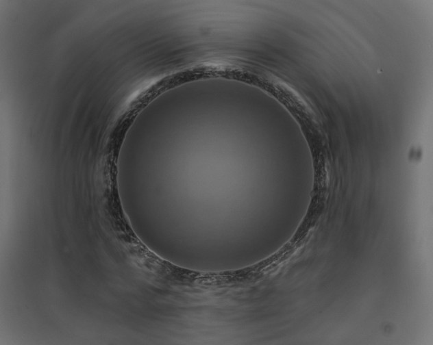 X0000094900776200711291231