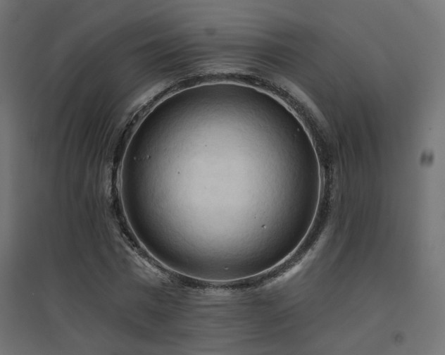 X0000094900777200711291231
