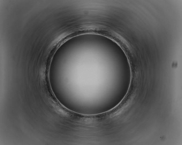 X0000094900778200711291231