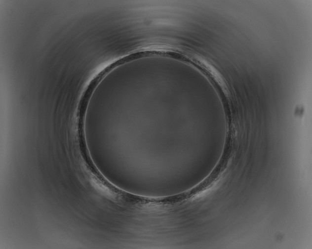 X0000094900779200711291231
