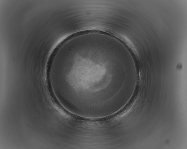 X0000094900780200711291231