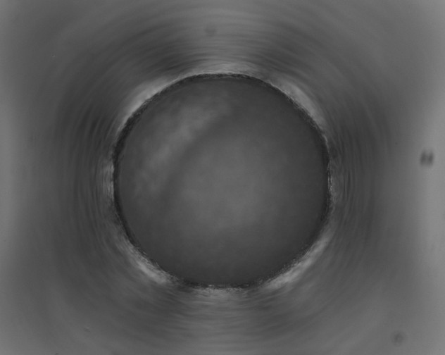 X0000094900781200711291231