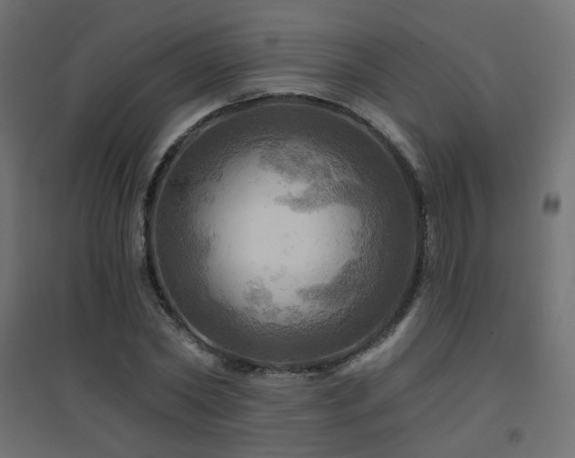 X0000094900782200711291231