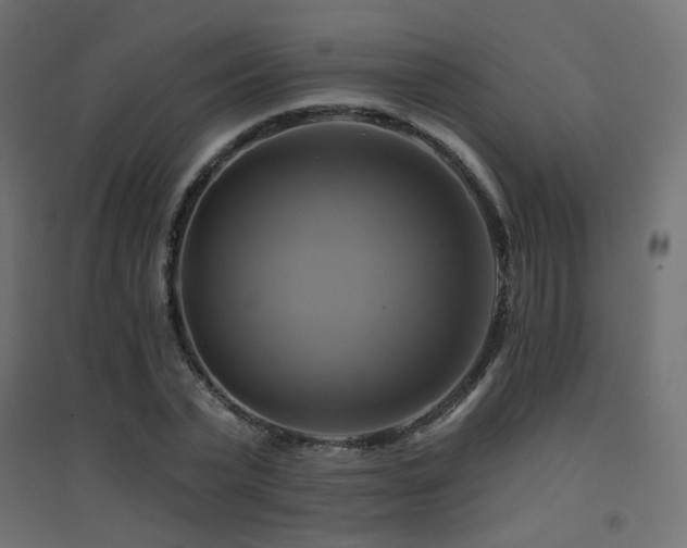 X0000094900783200711291231