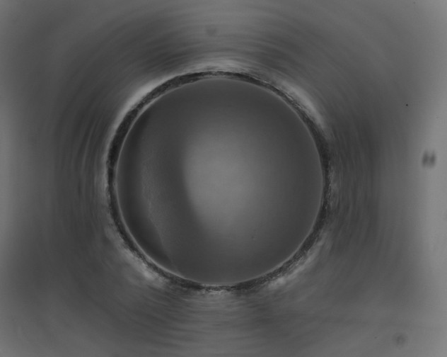 X0000094900784200711291231