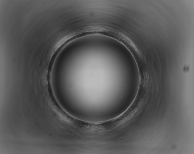 X0000094900786200711291231