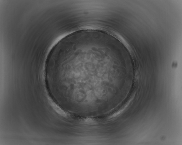 X0000094900787200711291231