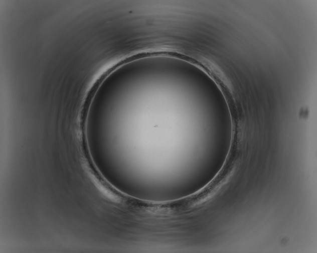 X0000094900789200711291231