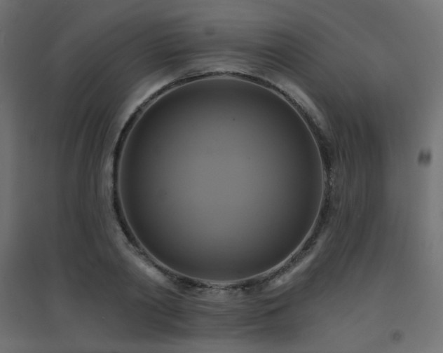 X0000094900790200711291231