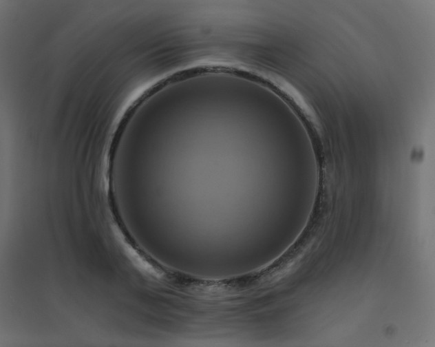 X0000094900791200711291231