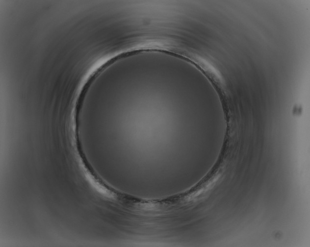 X0000094900792200711291231