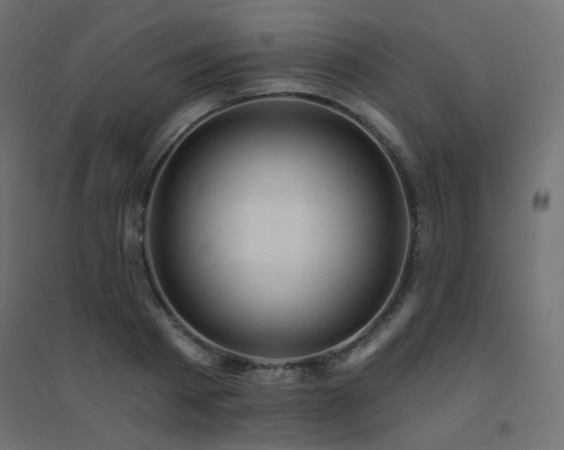 X0000094900793200711291231
