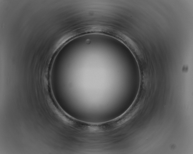 X0000094900794200711291231