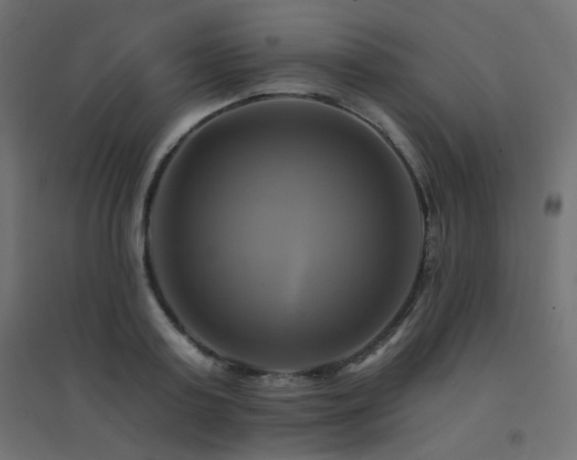 X0000094900795200711291231