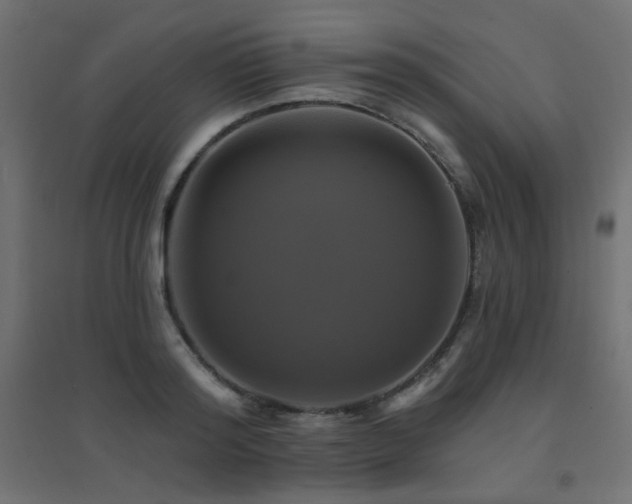 X0000094900796200711291231