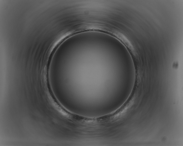 X0000094900798200711291231