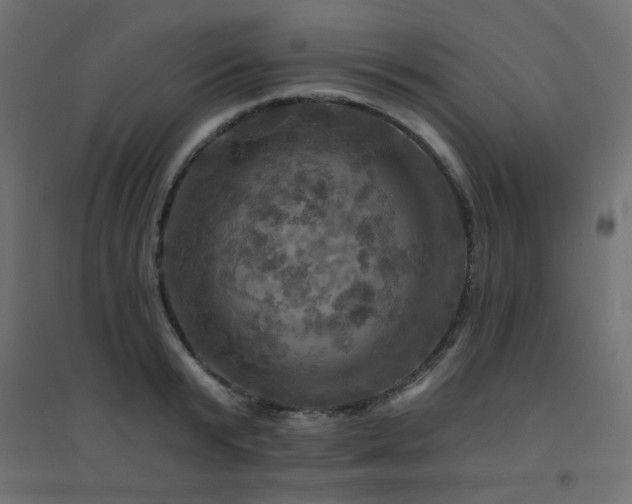 X0000094900799200711291231