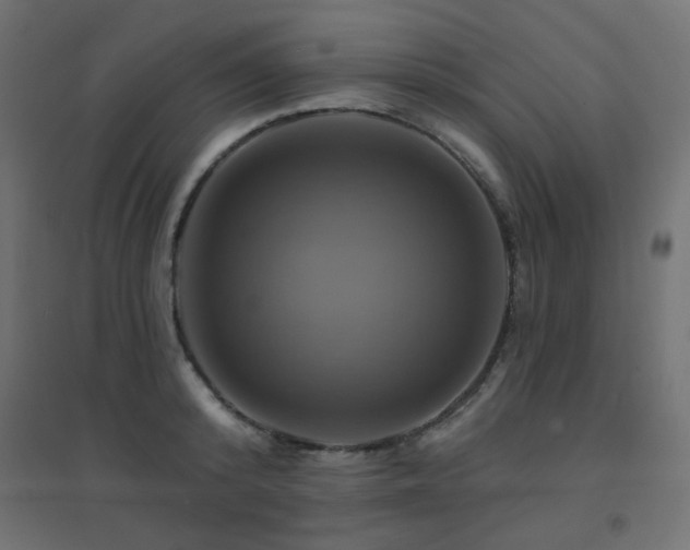 X0000094900800200711291231